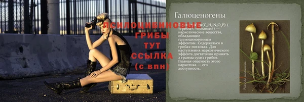 мдпв Вязники