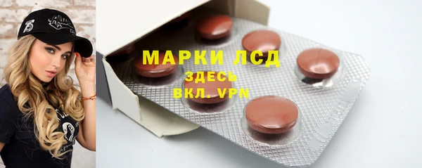ГАЛЛЮЦИНОГЕННЫЕ ГРИБЫ Вязьма
