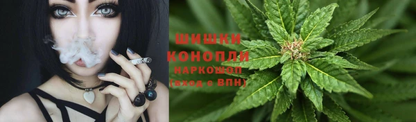 мдпв Вязники