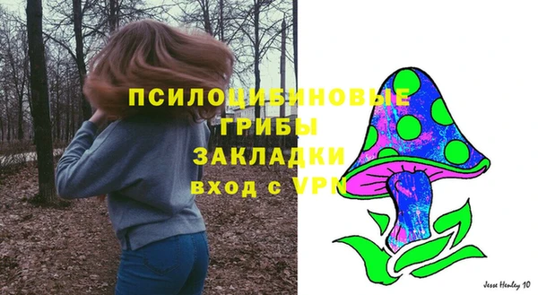 ГАЛЛЮЦИНОГЕННЫЕ ГРИБЫ Вязьма