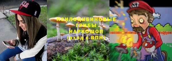 ГАЛЛЮЦИНОГЕННЫЕ ГРИБЫ Вязьма