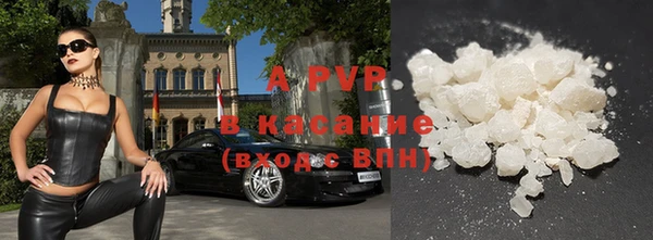ГАЛЛЮЦИНОГЕННЫЕ ГРИБЫ Вязьма