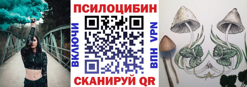 Купить  Печоры  Псилоцибиновые грибы Cubensis 